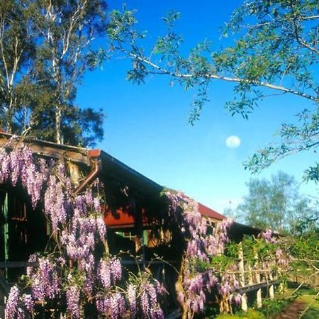 فندق سيدار كريك كوتيدجيز Millfield المظهر الخارجي الصورة
