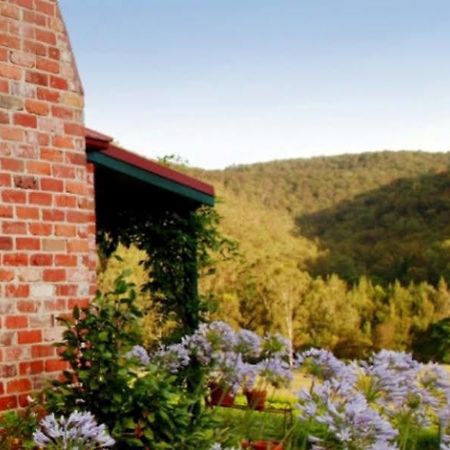 فندق سيدار كريك كوتيدجيز Millfield المظهر الخارجي الصورة