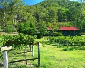 فندق سيدار كريك كوتيدجيز Millfield المظهر الخارجي الصورة